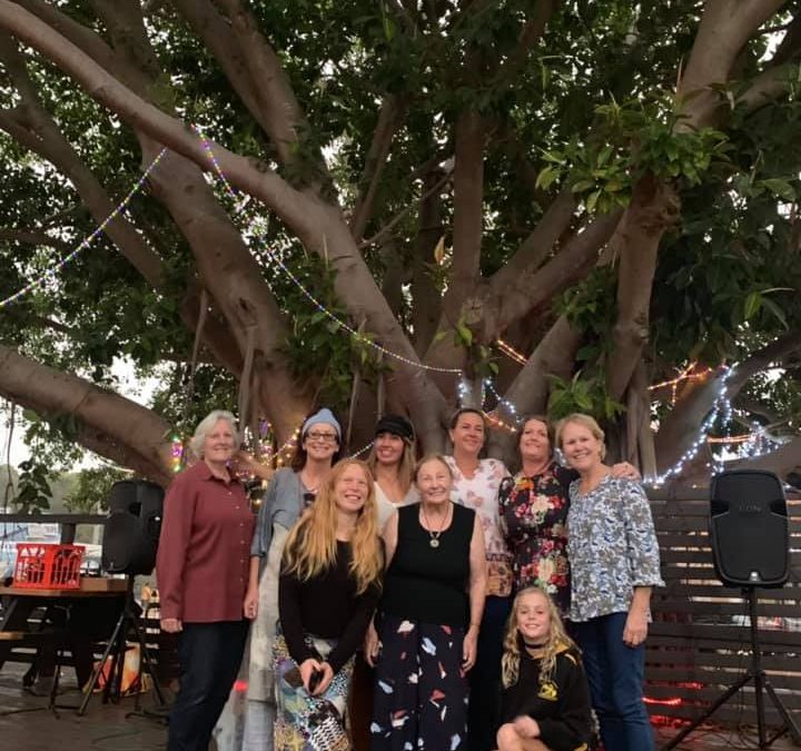 Tree of Dreams lights up at Budgewoi